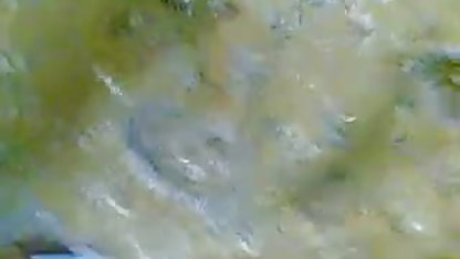 வளர்ப்பு சகோதரி மற்றும் தெலுங்கு செக்ஸ் பாடல் இரண்டு தோழிகள் சகோதரர்கள் சேவல்