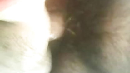 லியா மாமியின் கவர்ச்சி இந்தி படம் லவ் ஆழமான நாய் பாணியைப் பெறுகிறார்