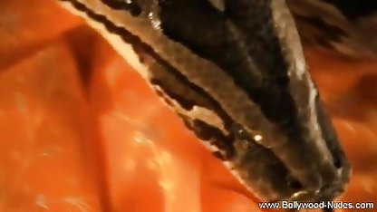 ஜெர்மன் டீன் வீட்டில் தனது இறுக்கமான சன்னி லியோன் கி நீல படம் கழுதையில் ஒரு பெரிய சேவல் சவாரி