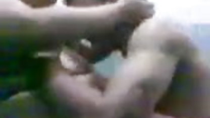 பைத்தியம் பிடித்தது செக் ஆடுவது மற்றும் ஒரு அடைத்த பொம்மை