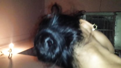 பெரிய கவர்ச்சி நீல படம் இந்தி பெண்