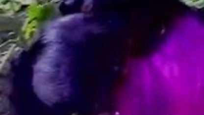 பக்கத்து சீன ஆபாச திரைப்படங்கள் வீட்டுக்காரர் மனைவியை விட சிறந்தவர்