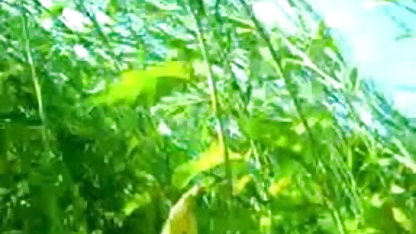 சமையலறையில் சனி லியோன் கவர்ச்சி படம் ஒரு பக்கத்து வீட்டுக்காரர்