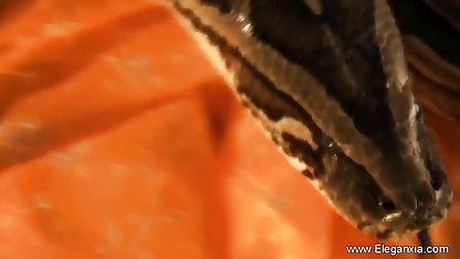 சகோதரியின் இந்தி மாமியின் படம், கவர்ச்சி கணவருடன் தூங்கினாள்